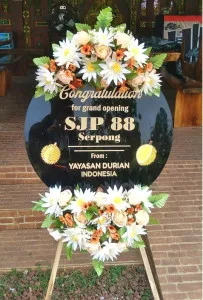 Grand Opening Kab Pegunungan Bintang